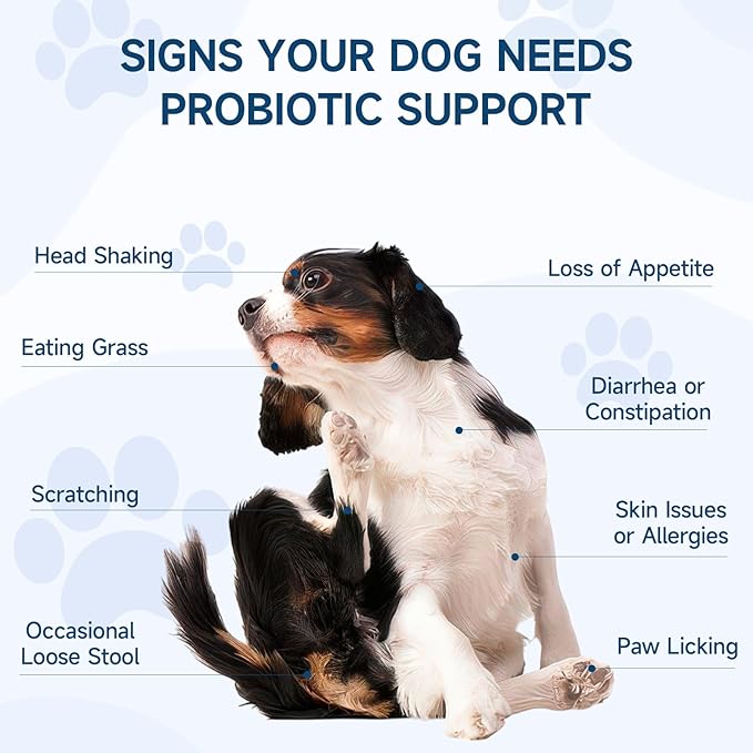 Dog Probiotic for Dogs, 200 Soft Treats Dog Probiotics for Digestive Health & Immune System, Probiotic Chews for Dogs, Support Gut Health|Itchy Skin|Diarrhea|Gas Relief Treatment-PawvioPets