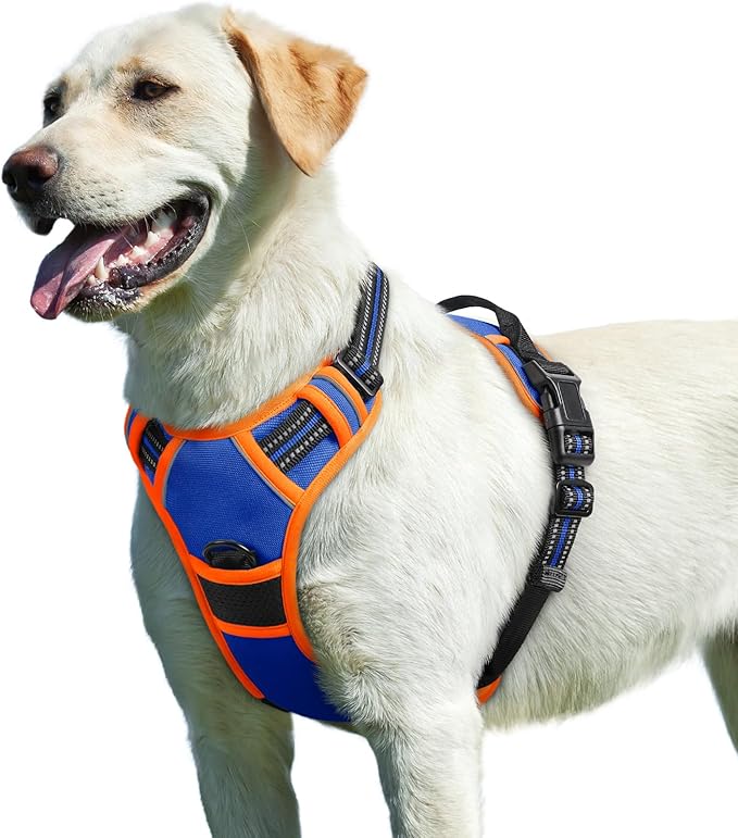 Eagloo Dog Harness for Large Dogs, No Pull Service Vest with Reflective Strips and Control Handle, Adjustable and Comfortable for Walking, No Choke Pet Harness with 2 Metal Rings, Blue & Orange, L-PawvioPets