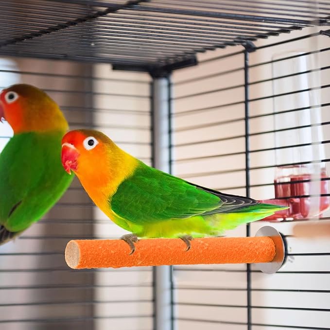 8 Pcs Bird Perch Stand Toy, Colorful Wood Parrot Perch Stand Platform Paw Grinding Stick, Bird Cage Accessories for Budgies,Parakeet,Cockatiel, Lorikeet, Conure-PawvioPets
