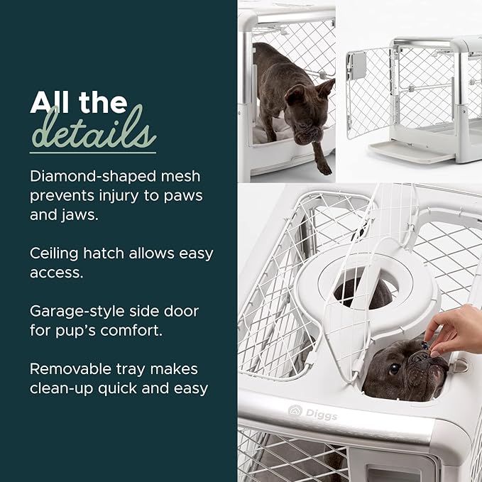 DIGGS Revol Collapsible Dog Crate with Wheels - Premium Portable Dog Crate - Safe, Stylish, and Convenient Indoor Kennel (Ash, Small)-PawvioPets