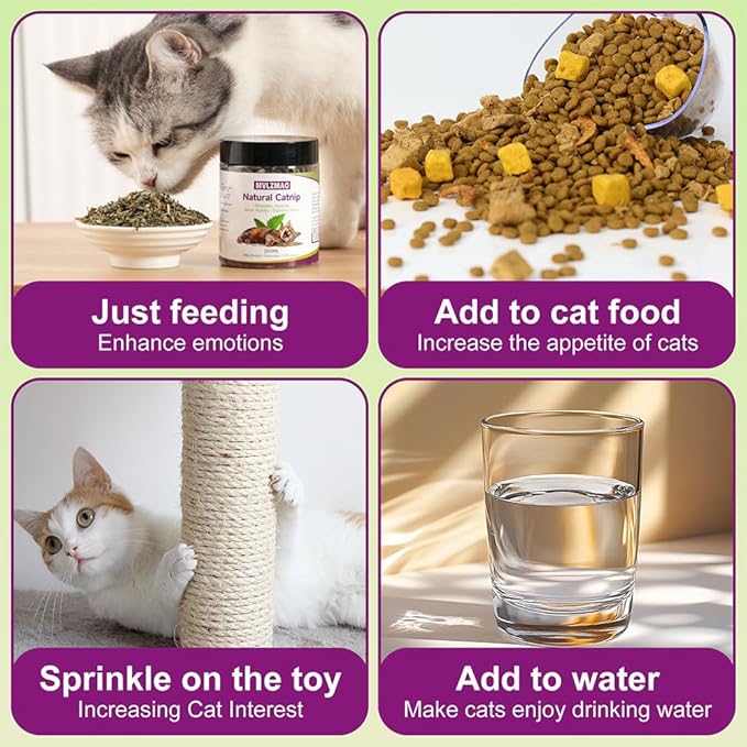 210ML Organic 100% Natural Catnip Cattle Grass Mint Taste Funny Cat Toy New Cat Toy Interactive Cat Toys Pet Supplies-PawvioPets