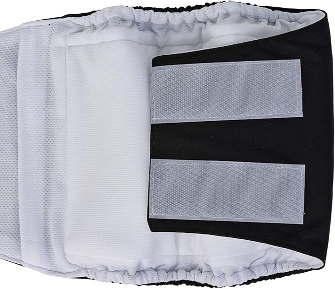CuteBone Dog Diapers Male Washable Belly Band for Male Dogs Wraps 3pcs a Pack DM41L-PawvioPets