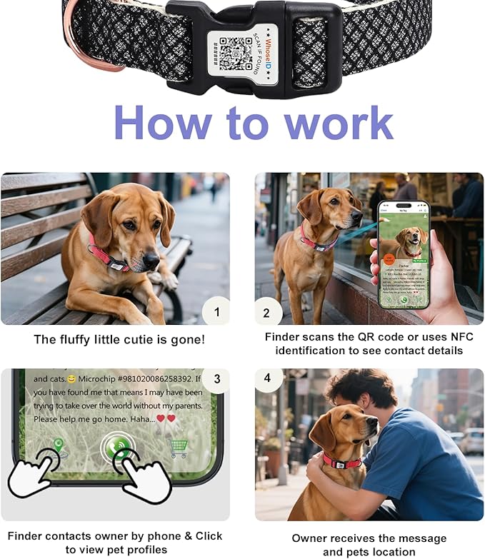 Dog Collar with Waterproof AirTag Holder & Anti-Lost QR Code, Cute Bling Warpping Adjustable Width for Small Medium Large Pet (Black, M)-PawvioPets