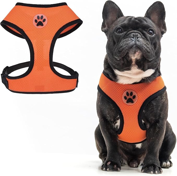 BINGPET No Pull Dog Harness, Soft Mesh Breathable All Weather Vest, Safety Protection Design, Durable Adjustable Step-in Easy Walk Dog Harness for Large Dogs (Orange, L)-PawvioPets