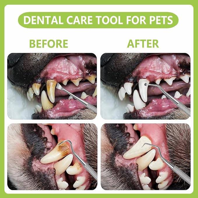 Dental Tools Pet Dog Teeth Cleaner Tool Kit, Stainless Steel Plaque Remover Dental Picks Tooth Tartar Scraper, Pets Oral Care Hygiene Set for Cats and Dogs Use with Case-PawvioPets