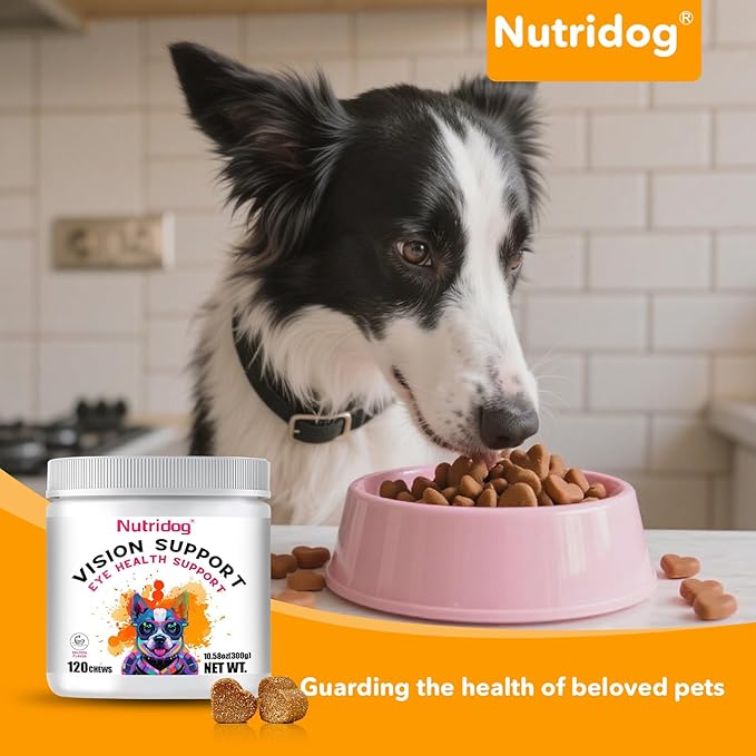 Eye Supplements for Dogs - Vision Support Soft Chews with Lutein, DHA & Vitamin C | 120ct Salmon Flavor Tear Stain Chews | Cataract & Dry Eye Relief Supplement (120 Ct, Salmon)-PawvioPets