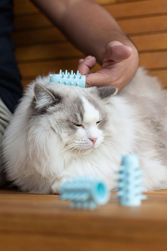 Furr&Purr Cat Brush, Made in the USA, Face Massager, Face Scratcher, Calming Care Comb for Cats, Indoor Cats (1-Pack)-PawvioPets