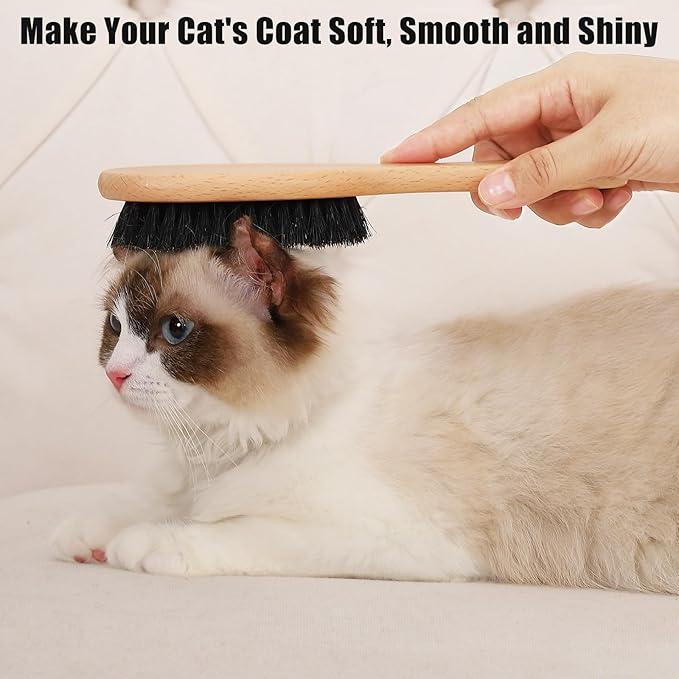 Boar Bristle Cat Brush with Wooden Handle, Soft and Gentle, Reduce Shedding, Make Coat Soft, Smooth and Shinny, Daily Grooming Tool for Short Haired Cats, Kitten-PawvioPets