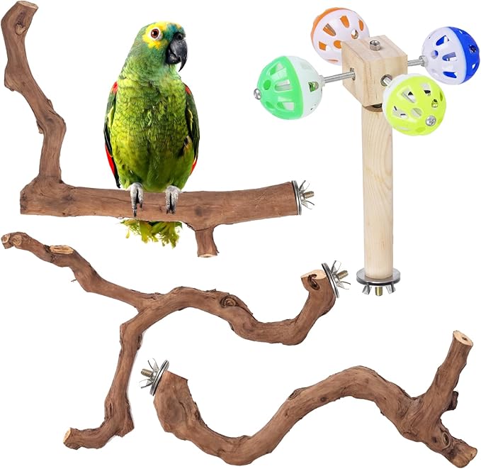 4-Piece Bird Perch Set with Rotating Ball Stand - Natural Wood Bird Gym & Playground for Parrots, Cockatiels, Budgies-PawvioPets