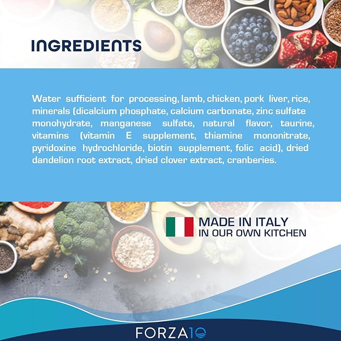 Forza10 Kidney Care Cat Food – Renal Support Wet Cat Food with Lamb, 3.5 oz Cans, 12 Pack – Vet Formulated, Made in Italy-PawvioPets