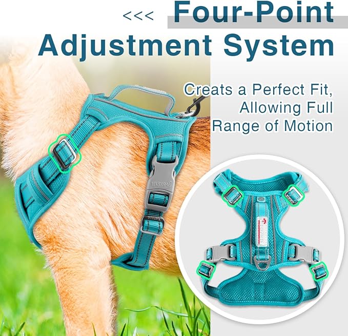 BARKBAY Dog Harness No Pull with ID Tag Pocket - Heavy Duty, Reflective, Easy Control for Large Dogs(Ocean Blue,M)-PawvioPets