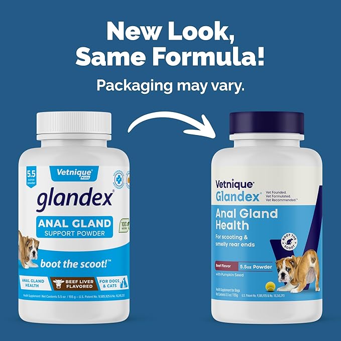 Glandex Dog Fiber Supplement Powder for Anal Glands with Pumpkin, Digestive Enzymes & Probiotics - Vet Recommended (Regular or Advanced Strength) - Boot The Scoot (5.5oz Powder, Beef Liver)-PawvioPets