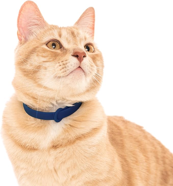 Break Away Collar for Cats - Soft, Thin, and Lightweight Safety Buckle Collar with Name Tag Ring for Outdoor Cats and Sensitive Skin Kittens by Nuvuq (6 ⅞" to 10 ¼", Dark Blue)-PawvioPets
