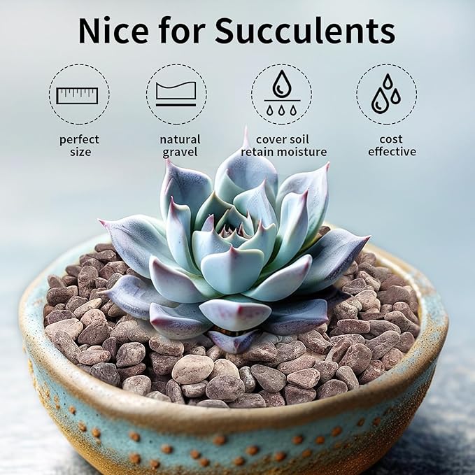 5 lbs Succulent and Cactus Pebbles for Indoor Plants, 3/8 Inch Pea Gravel Decorative Red River Rocks for Plants, Vases, Terrarium, Aquarium, Potted Top Dressing and Outdoor Landscaping Stones-PawvioPets