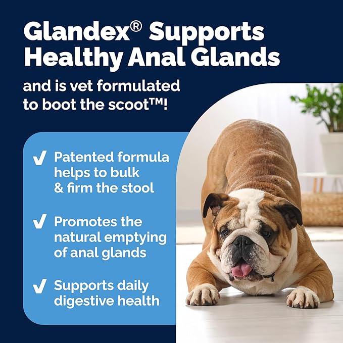 Glandex Dog Fiber Supplement Powder for Anal Glands with Pumpkin, Digestive Enzymes & Probiotics - (Regular or Advanced Strength) - Boot The Scoot (4.25 oz, Advanced Strength Duck & Bacon)-PawvioPets