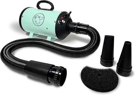Flying Pig High Velocity Dog Pet Grooming Dryer w/Heater (Flying One, Mint w/Grey Logo)-PawvioPets