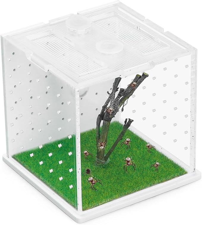 Acrylic Jumping Spider Enclosure, 2.95×2.95×2.87in Transparent Reptile Terrarium, Versatile Tarantula Enclosure for Small Reptiles/Insects, Small Reptile Tank with Dropper, Jumping Spider Accessories-PawvioPets