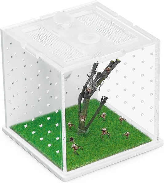 Acrylic Jumping Spider Enclosure, 2.95×2.95×2.87in Transparent Reptile Terrarium, Versatile Tarantula Enclosure for Small Reptiles/Insects, Small Reptile Tank with Dropper, Jumping Spider Accessories-PawvioPets