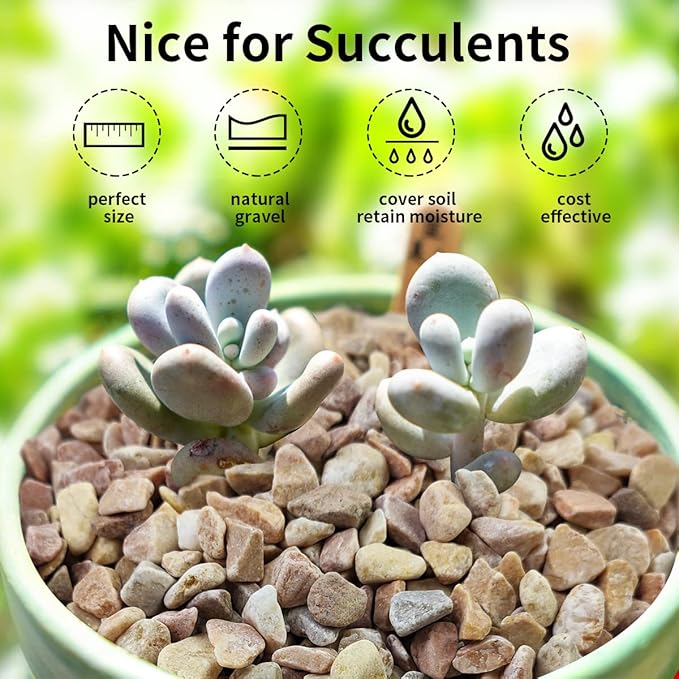 2 lb Natural Pea Gravel Small Pebbles - 3/8 Inch Pebbles for Indoor Plants, Succulents Rocks, Fish Tank Gravel, Terrarium Rocks and Patio Paver Decorative Stones-PawvioPets