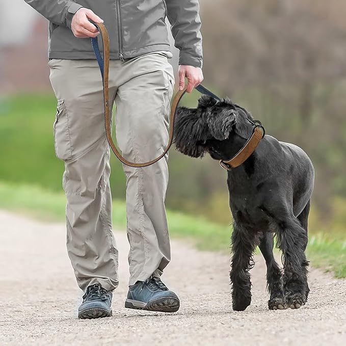 Didog Soft Padded Leather Dog Collar and Leash Set, Adjustable Dog Leash and Collar Set with Metal Buckle, Breathable Dog Collars with 4FT Leather Dog Leash for Small Medium Large Dogs, Brown, M-PawvioPets