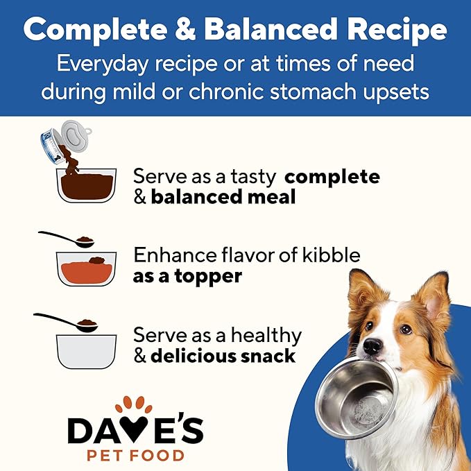 Dave's Pet Food Sensitive Stomach Dog Food (Chicken & Rice), Easy to Digest, Gluten-Free, Digestive Care, Wet Canned, 5.5 oz (Case of 24)-PawvioPets