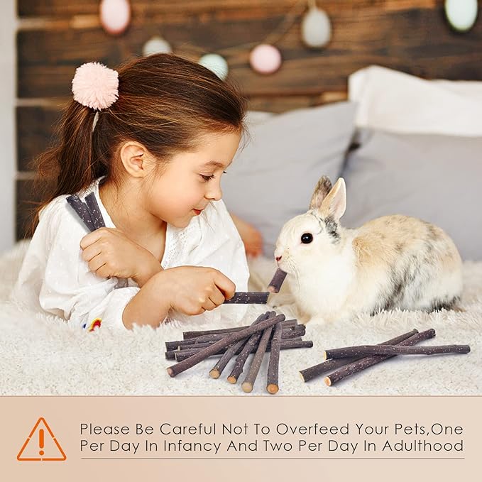 Bissap 120g/4.2oz Apple Sticks for Rabbits, Natural Bunny Chew Toys and Treats for Chinchilla Guinea Pig Hamster Gerbil Small Animals Pet Apple Wood Stick Toys Teeth Grinding-PawvioPets