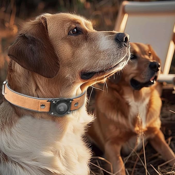 AirTag Dog Collar - Leather Dog Collar with Air Tag Holder | IPX8 Waterproof, Reflective, High - End, Adjustable Soft Padded | Dog GPS Tracker Collars Fit for Medium Large Dogs (Light Brown, XL)-PawvioPets