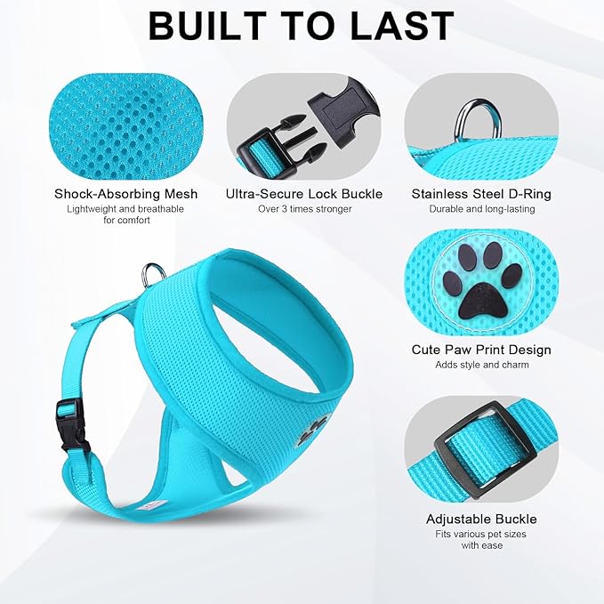 BINGPET No Pull Dog Harness, Soft Mesh Breathable All Weather Vest, Safety Protection Design, Durable Adjustable Step-in Easy Walk Dog Harness for Small Medium Large Dogs (Royal Blue, S)-PawvioPets