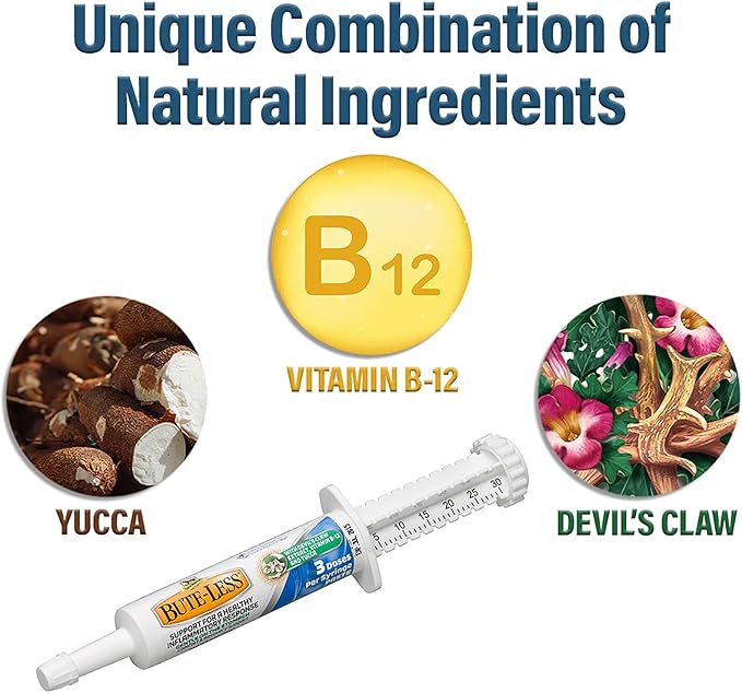 Absorbine Bute-Less Long-Term Horse Comfort & Recovery Supplement Paste, Gentle on Stomach, Devil’s Claw, Vitamin B-12, Yucca, 1oz Syringe / 3 Doses-PawvioPets