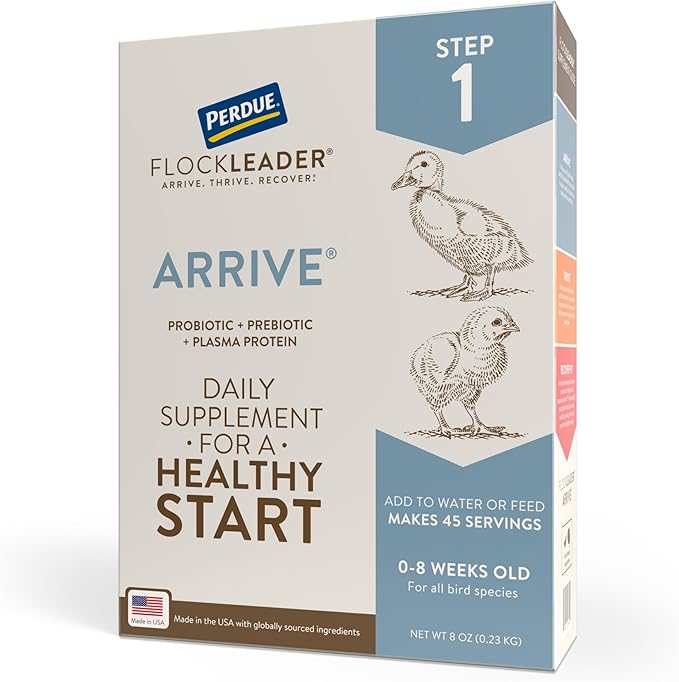 Arrive, Daily Probiotic & Prebiotic Poultry Supplement for Young Chickens 0-8 Weeks Old, 8 oz-PawvioPets