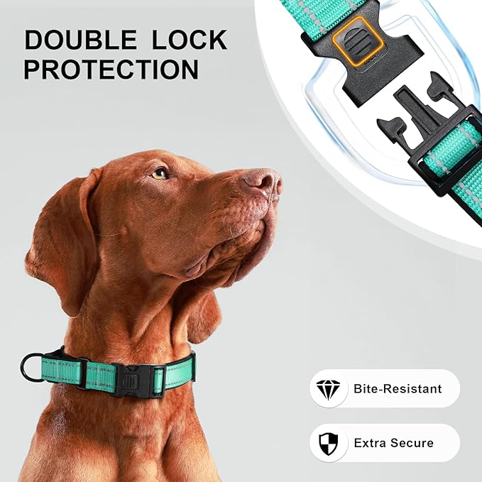 Airtag Dog Collar with Martingale Design, IP68 Waterproof Air Tag Collar Holder, Adjustable Reflective Soft Padded Nylon Dog Collar for Large Medium Small Dogs-PawvioPets