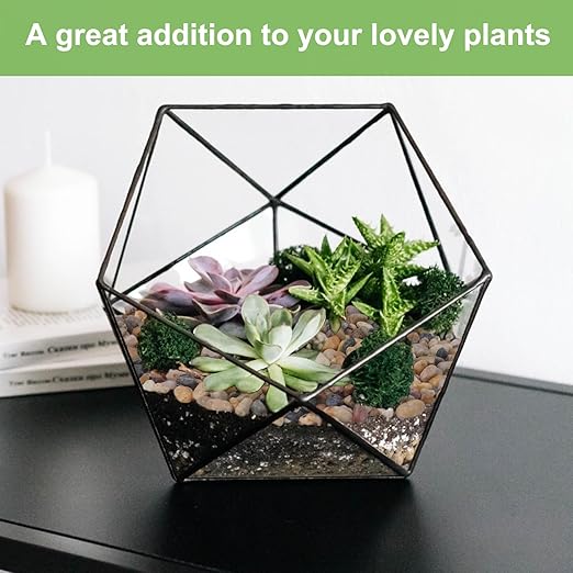 5 lbs Drainage Rocks for Potted Plants, 1/5 Inch Small Pebbles for Indoor Plants, Decorative Gravel for Vases, Bamboo, Succulent, Terrarium, Crafts, Cactus-PawvioPets