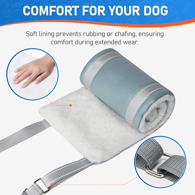 Dog Lift Harness for Extra Large Dogs, Adjustable Dog Sling for Back Legs, Hip Support Harness to Help Lift Dogs Rear for Canine Aid and Old K9 Cruciate Ligament Rehabilitation - Extra Large, Blue-PawvioPets