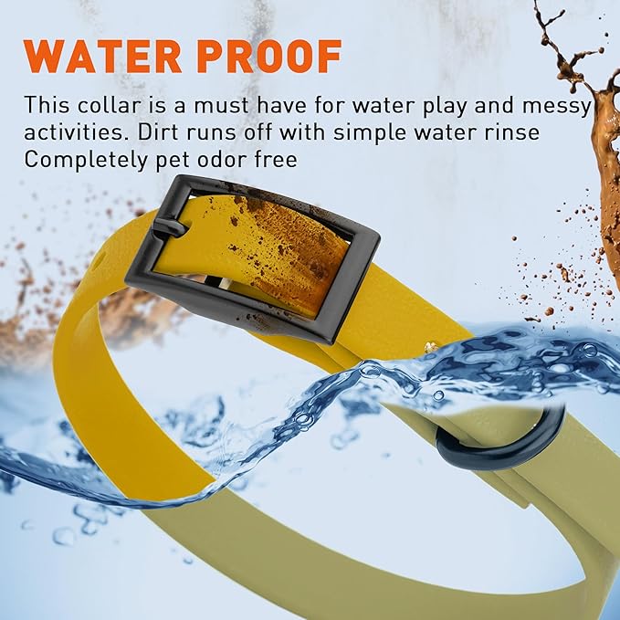 Dogline Biothane Waterproof Dog Collar Strong Coated Nylon Webbing with Black Hardware Odor- Proof for Easy Care Easy to Clean High Performance Fits Small Medium or Large Dogs, Treasure Gold-PawvioPets