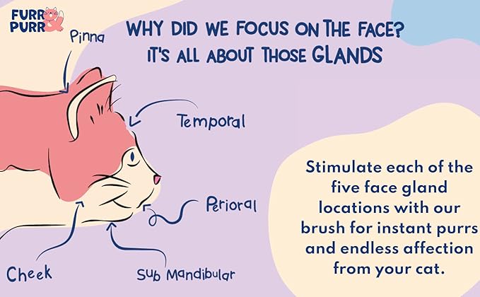 Furr&Purr Cat Brush, Scratcher, and Massager - Indoor Cat Calming Care with Face Scratcher, Finger Brush (3-Pack, Made in USA)-PawvioPets