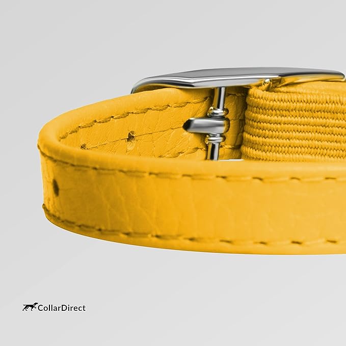 CollarDirect Leather Cat Collar with Removable Bell – Safety Kitten Collar with Elastic Strap (Yellow, 15 - 18 cm)-PawvioPets
