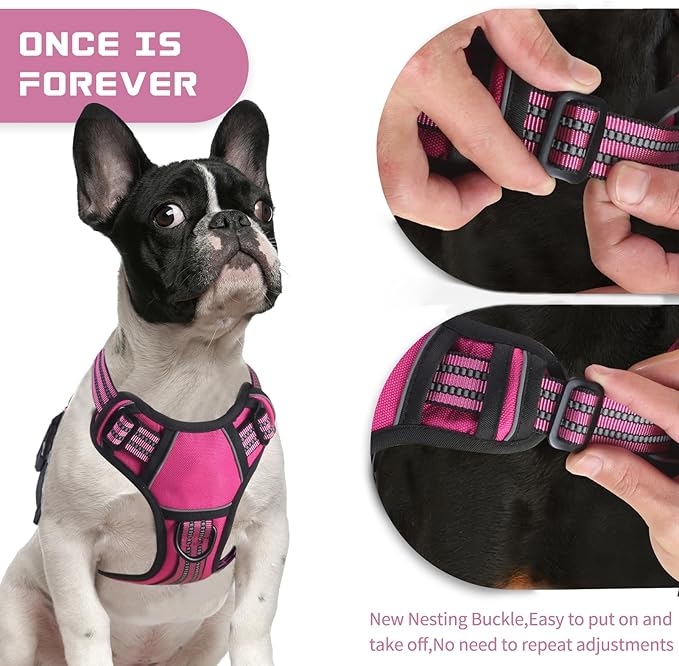BUMBIN Dog Harness for Large Dogs, No Pull Adjustable No Choke Pet Vest with Dog Leash Fit Smart Reflective Pet Walking Harness for Training Easy Control Soft Handle Rose Red M-PawvioPets