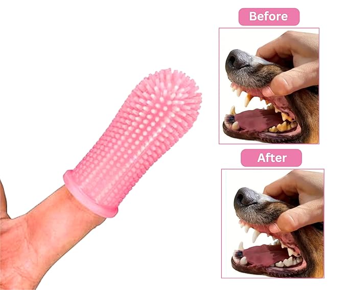 3-in 1 Dog & Cat Grooming Supplies- Self-cleaning Slicker Brush, Deshedding Rake Comb, And Finger Toothbrush For Dogs & Cats | Perfect For Pet Grooming Kit, Dematting And Dental Tool (pink)-PawvioPets