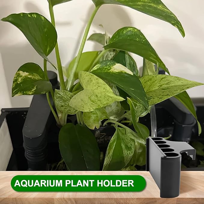 Aquarium Plant Holder for Rimmed Tank, Aquarium Hanging Plant Holder, Plastic Aquatic Plant Pot with 5 Hole, Fish Tank Decorations for Aquatic Plants, 0.5 inch-PawvioPets