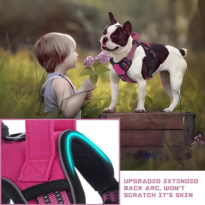 BUMBIN Dog Harness for Large Dogs, No Pull Adjustable No Choke Pet Vest with Dog Leash Fit Smart Reflective Pet Walking Harness for Training Easy Control Soft Handle Rose Red M-PawvioPets