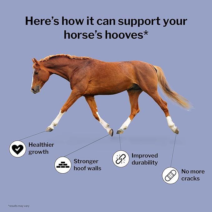 Formula 707 Hoof Health Equine Supplement, Daily Fresh Packs, 56 Day Supply - Biotin, Amino Acids, and Minerals to Improve and Support Healthy Horse Hooves-PawvioPets