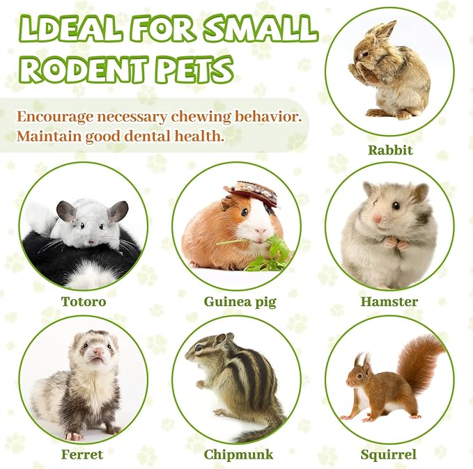 2lb Natural Sweet Bamboo Chew Toys for Small Pets - Organic Molar Sticks with Xylose & Vitamins for Rabbit, Guinea Pig, Hamster - Dental Care & Chewing Entertainment-PawvioPets