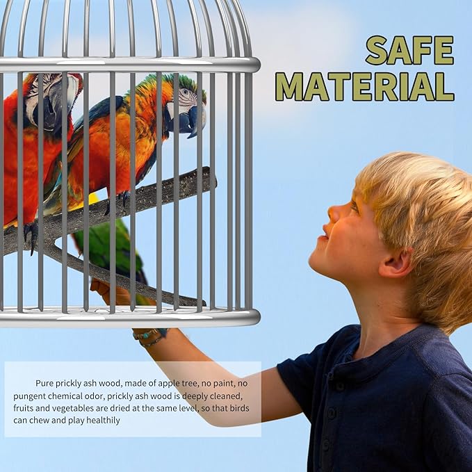 Bird Toys, Natural Parrot Toys for Small Macaws, Budgies, Lovebirds, Finches, Small and Medium Sized Birds Peppercorn Wood Apple Tree Perch Wood Set-PawvioPets