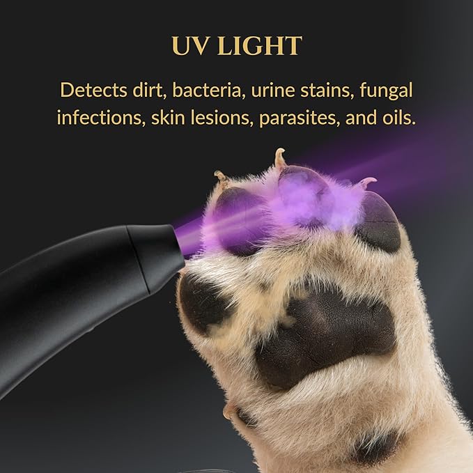 3-in-1 Dog Nail Trimmers and Pet Nail Clippers - Professional Grade with Stainless Steel Blades, LED & UV Light, and Nail Filer for Safety & Precise Toenail Pet Grooming - S to M Dogs-PawvioPets