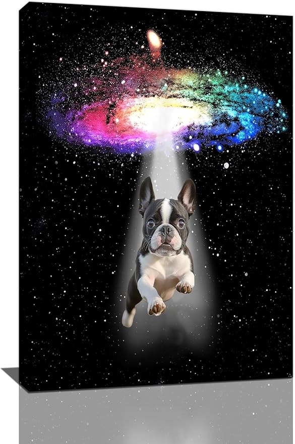 Funny Dog Wall Art Canvas Boston Terrier Wall Decor Prints Framed Painting Bulldog Galaxy Pictures Gifts Artwork for Bathroom 16"x24"-PawvioPets