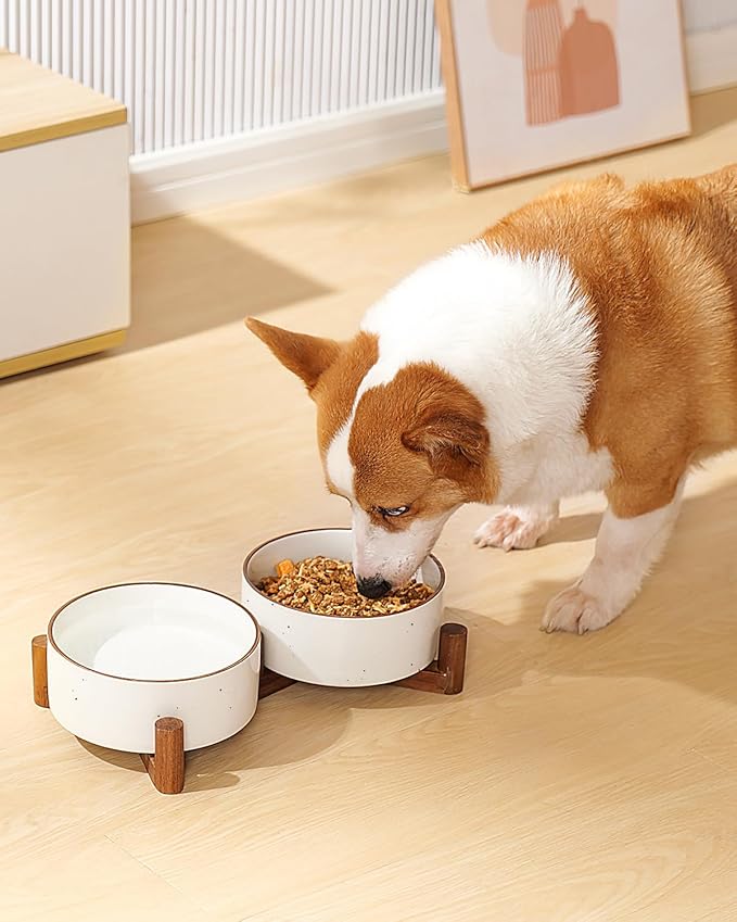 Getstar Ceramic Dog Bowls with Acacia Wood Stand, 30 fl oz, Set of 2, Dog Food Bowl with Colored Rim-PawvioPets