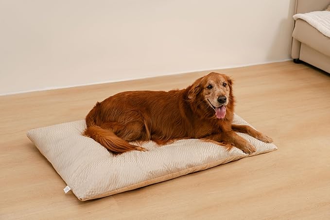 FUNNY FUZZY Washable Dog Bed,Reversible Plush Dog Crate Mat, Soft Fluffy Kennel Pad,Pet Sleeping Mattress for Jumbo,X-Large Sized Dogs Breeds,2XL,48"× 31",Beige-PawvioPets