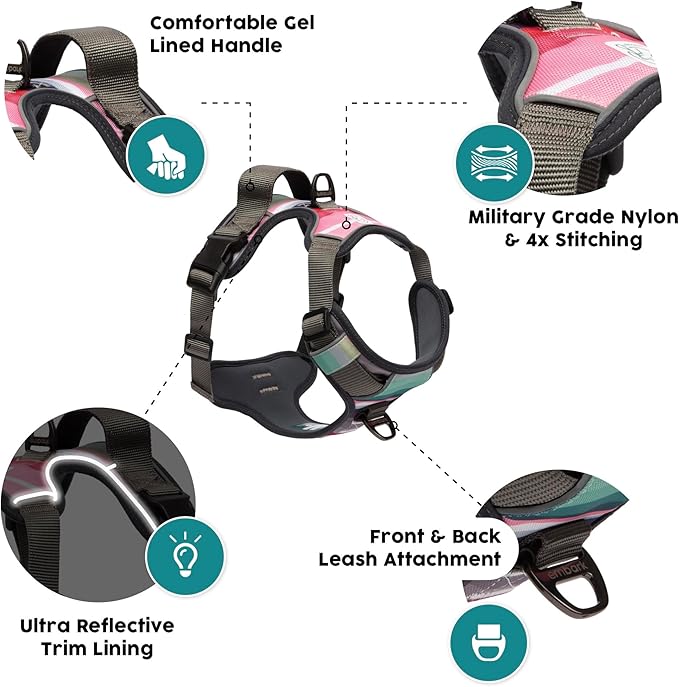 Embark Adventure Dog Harness, No-Pull Reflective Trim Dog Harness for Small, Medium & Large Dogs - Heavy Duty Oxford, 2 Leash Clips & Gel Lined Handle. Soft & Padded Puppy Dog Vest for Any Breed-PawvioPets