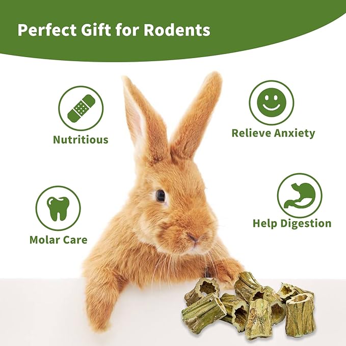 Fhiny Rabbit Chew Toys, 8 PCS 2" Natural Papaya Wood Chew Sticks Guinea Pig Treats for Dental Care Bunny Treats for Rabbits Small Pet Molar Snacks for Bunny Guinea Pig Chinchilla Hamster Gerbil-PawvioPets