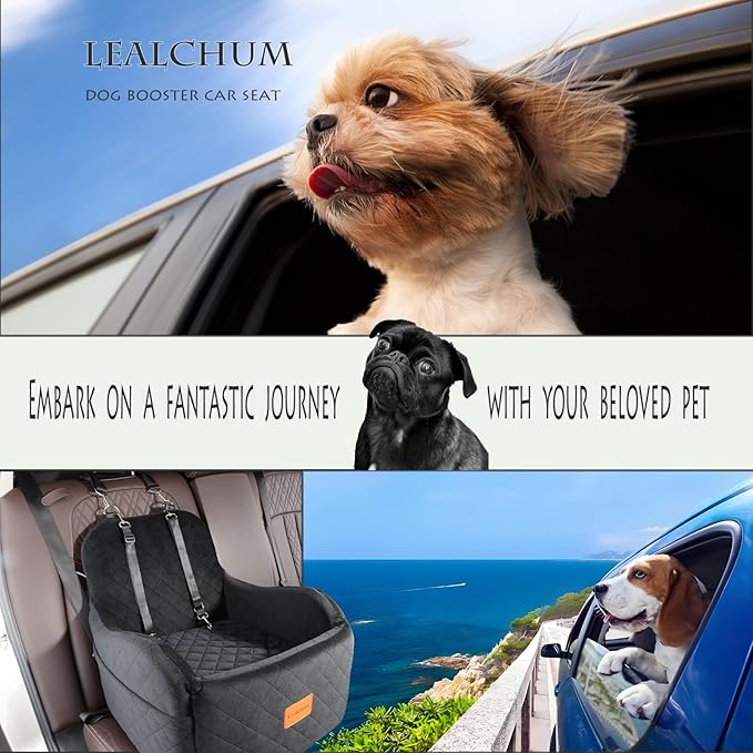 Dog Booster Car Seat for Small/Medium Dogs Up to 35lbs,Elevated Cushion Fits in Front/Back Seat,Fully Detachable and Washable,2 Storage Pockets & Dog Leashes,Easy to Install(Black,Medium)-PawvioPets